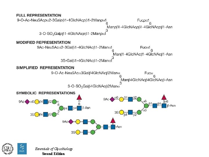 Essentials of Glycobiology Second Edition 