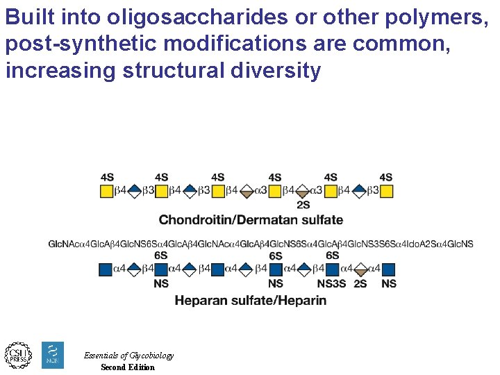 Built into oligosaccharides or other polymers, post-synthetic modifications are common, increasing structural diversity Essentials