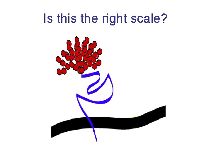 Is this the right scale? 