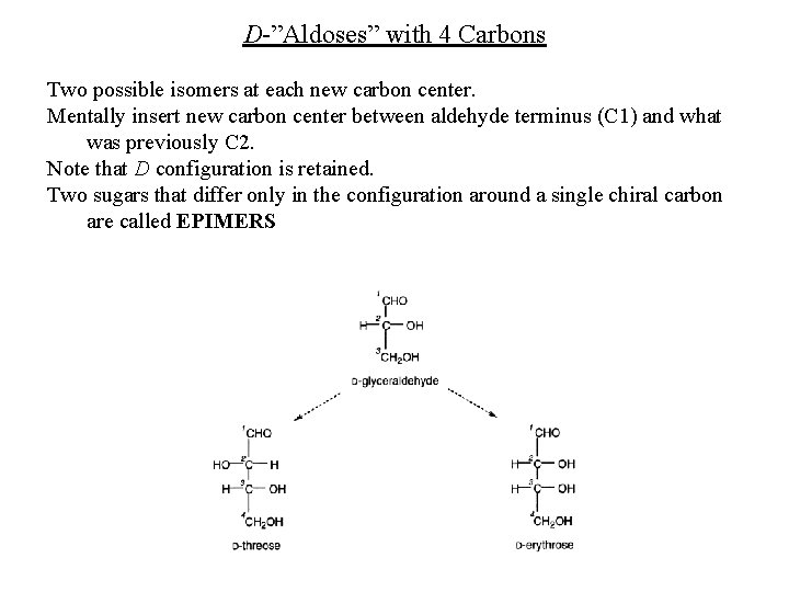 D-”Aldoses” with 4 Carbons Two possible isomers at each new carbon center. Mentally insert