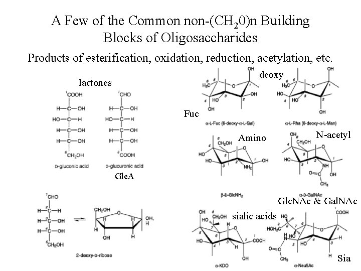 A Few of the Common non-(CH 20)n Building Blocks of Oligosaccharides Products of esterification,