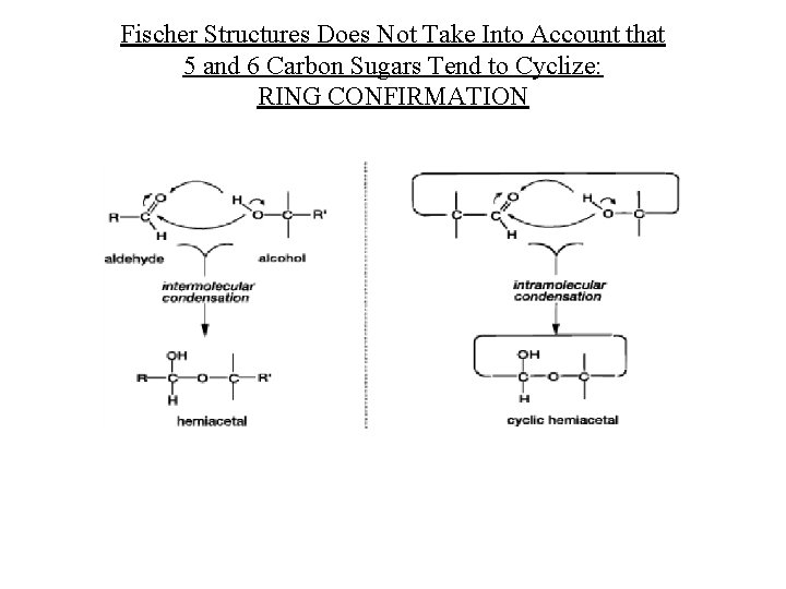 Fischer Structures Does Not Take Into Account that 5 and 6 Carbon Sugars Tend