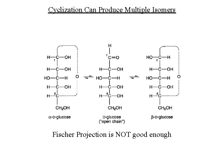 Cyclization Can Produce Multiple Isomers Fischer Projection is NOT good enough 