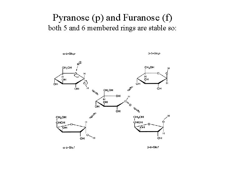 Pyranose (p) and Furanose (f) both 5 and 6 membered rings are stable so: