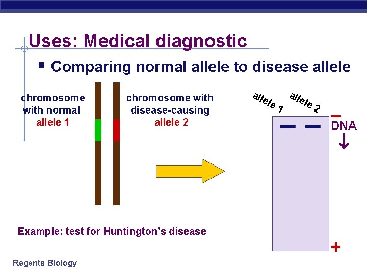 Uses: Medical diagnostic § Comparing normal allele to disease allele chromosome with normal allele