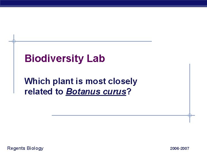 Biodiversity Lab Which plant is most closely related to Botanus curus? Regents Biology 2006