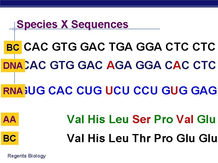 Species X Sequences BC CAC GTG GAC TGA GGA CTC DNACAC GTG GAC AGA