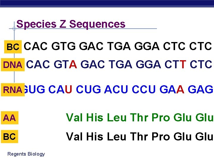 Species Z Sequences BC CAC GTG GAC TGA GGA CTC DNA CAC GTA GAC