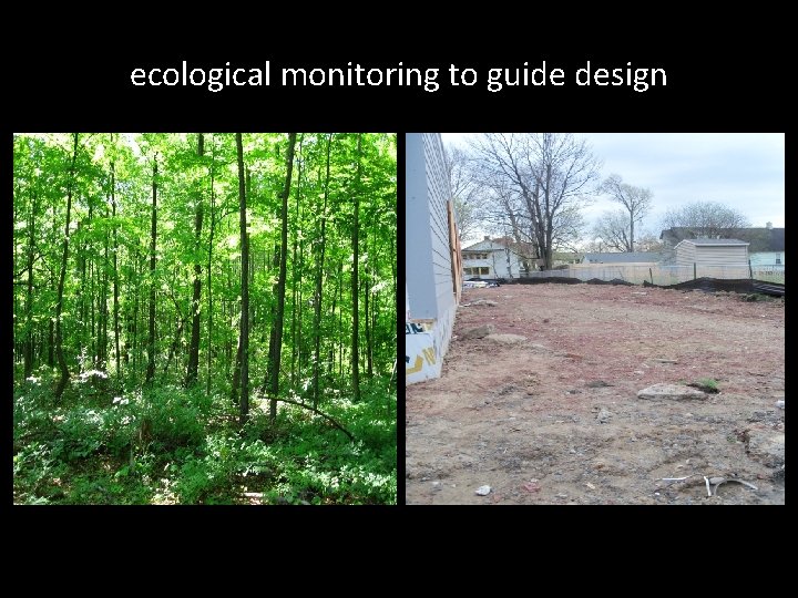 ecological monitoring to guide design 