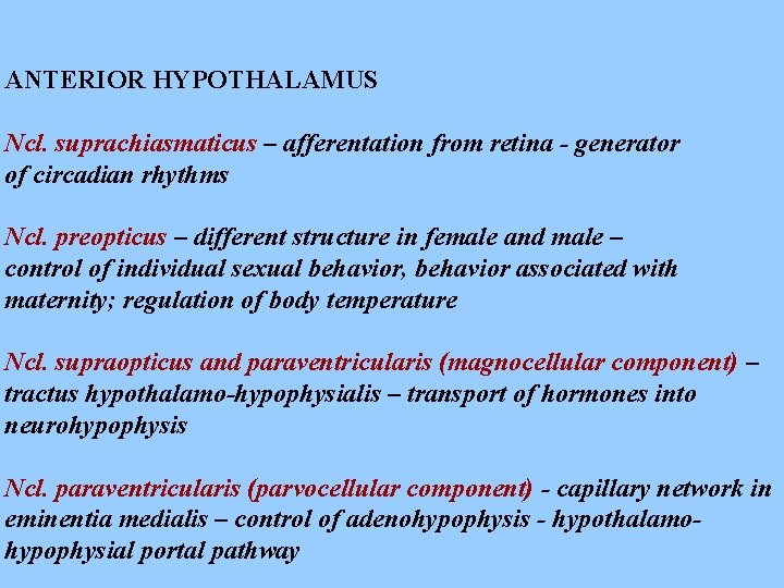 ANTERIOR HYPOTHALAMUS Ncl. suprachiasmaticus – afferentation from retina - generator of circadian rhythms Ncl.