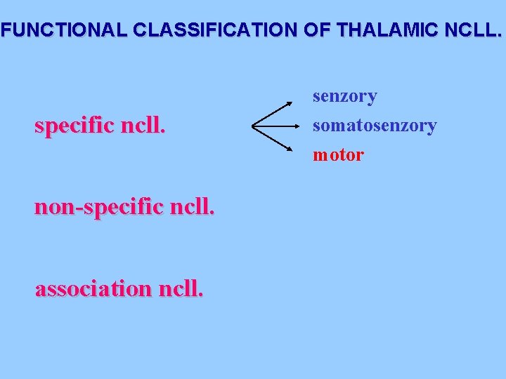 FUNCTIONAL CLASSIFICATION OF THALAMIC NCLL. senzory specific ncll. non-specific ncll. association ncll. somatosenzory motor