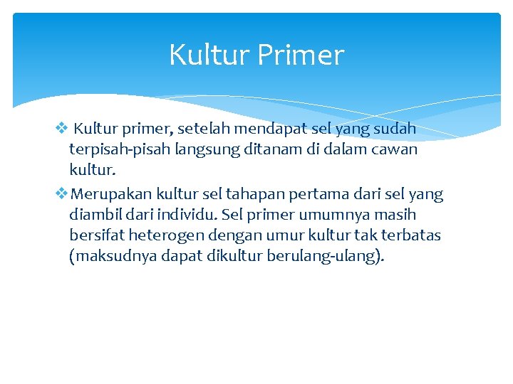 Kultur Primer v Kultur primer, setelah mendapat sel yang sudah terpisah-pisah langsung ditanam di
