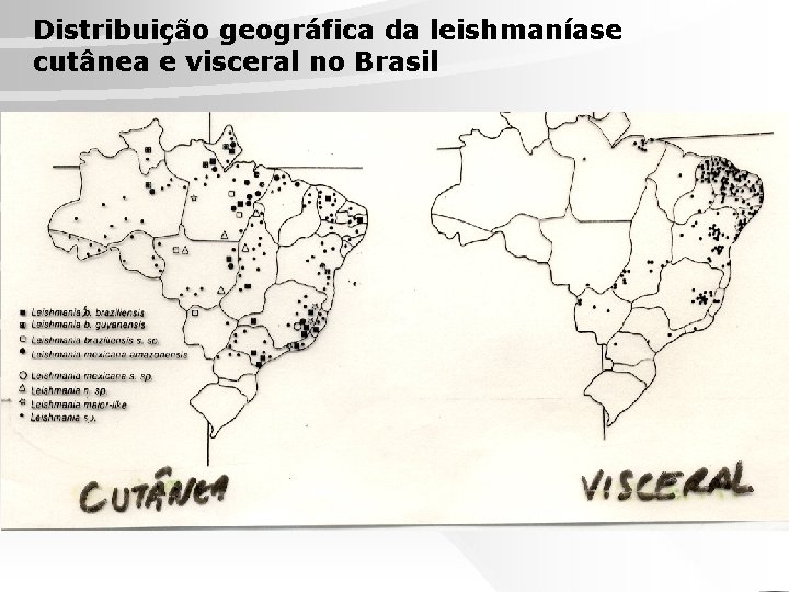 Distribuição geográfica da leishmaníase cutânea e visceral no Brasil 