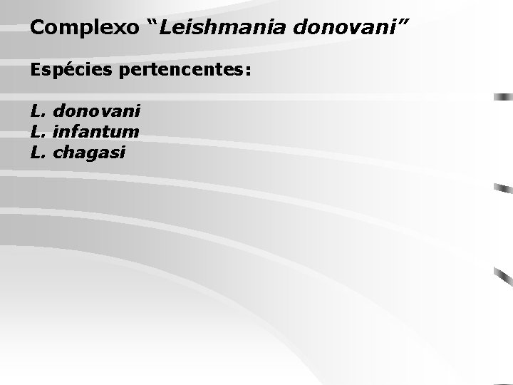 Complexo “Leishmania donovani” Espécies pertencentes: L. donovani L. infantum L. chagasi 