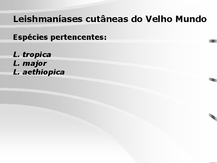 Leishmaníases cutâneas do Velho Mundo Espécies pertencentes: L. tropica L. major L. aethiopica 