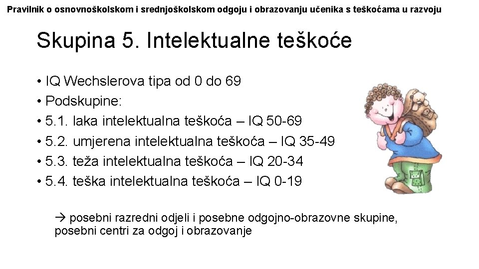 Pravilnik o osnovnoškolskom i srednjoškolskom odgoju i obrazovanju učenika s teškoćama u razvoju Skupina