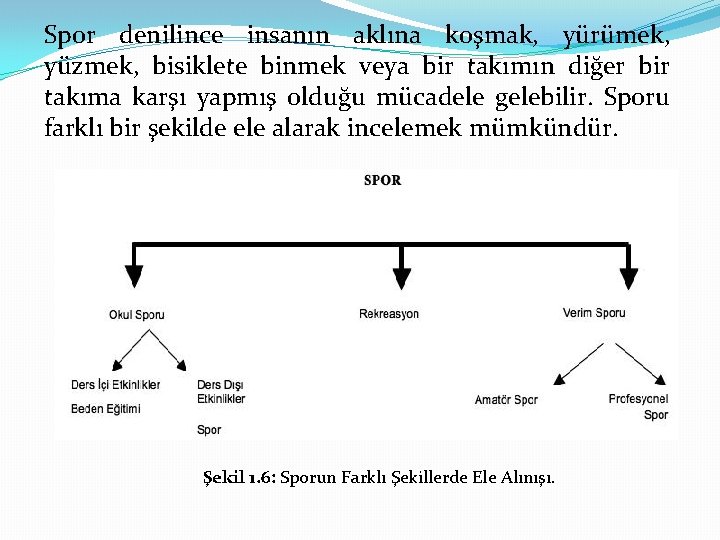 Spor denilince insanın aklına koşmak, yürümek, yüzmek, bisiklete binmek veya bir takımın diğer bir