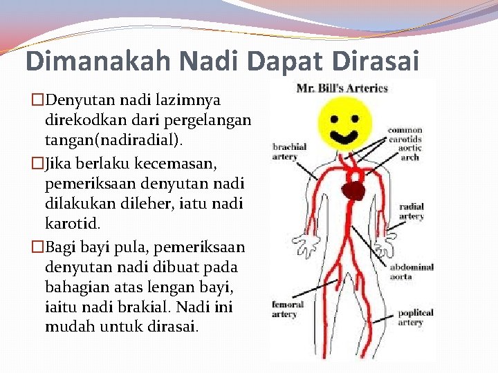 Dimanakah Nadi Dapat Dirasai �Denyutan nadi lazimnya direkodkan dari pergelangan tangan(nadiradial). �Jika berlaku kecemasan,