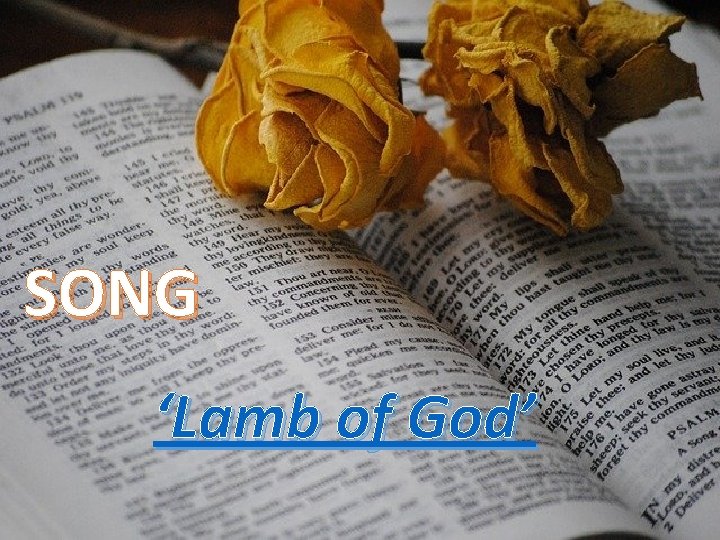 SONG ‘Lamb of God’ 