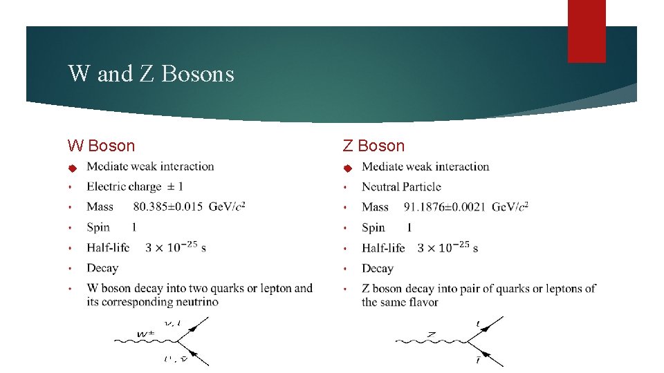 W and Z Bosons W Boson Z Boson 