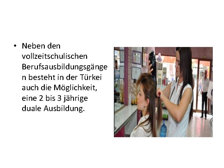  • Neben den vollzeitschulischen Berufsausbildungsgänge n besteht in der Türkei auch die Möglichkeit,