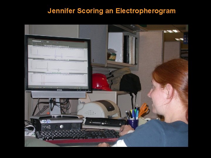 Jennifer Scoring an Electropherogram 