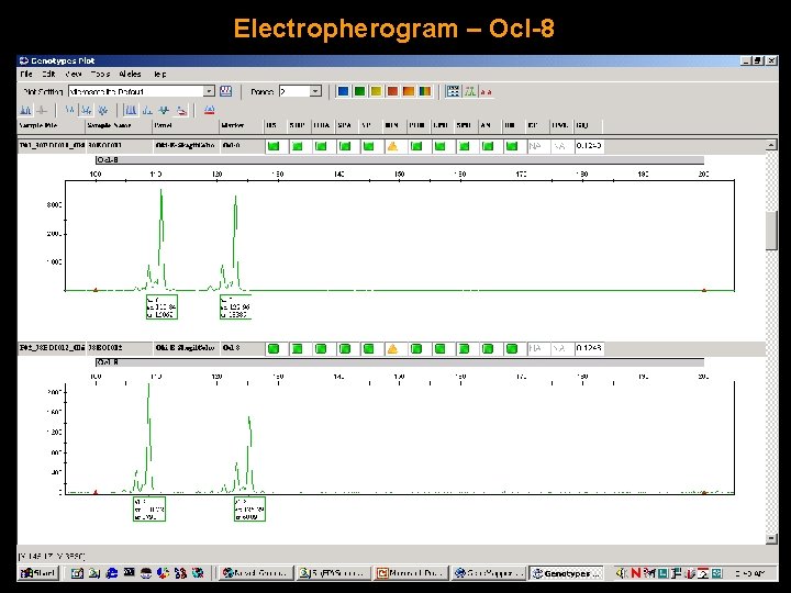 Electropherogram – Ocl-8 