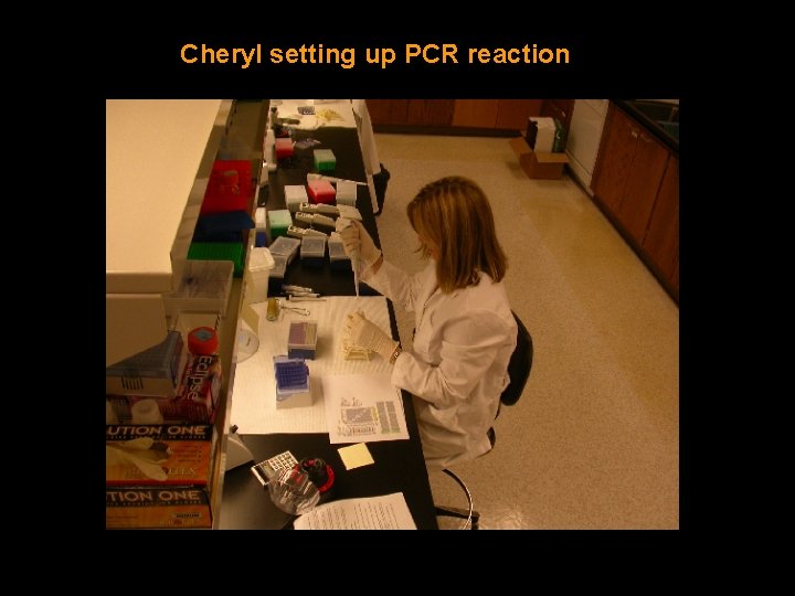 Cheryl setting up PCR reaction 