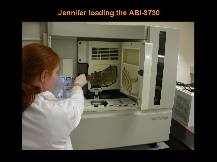 Jennifer loading the ABI-3730 