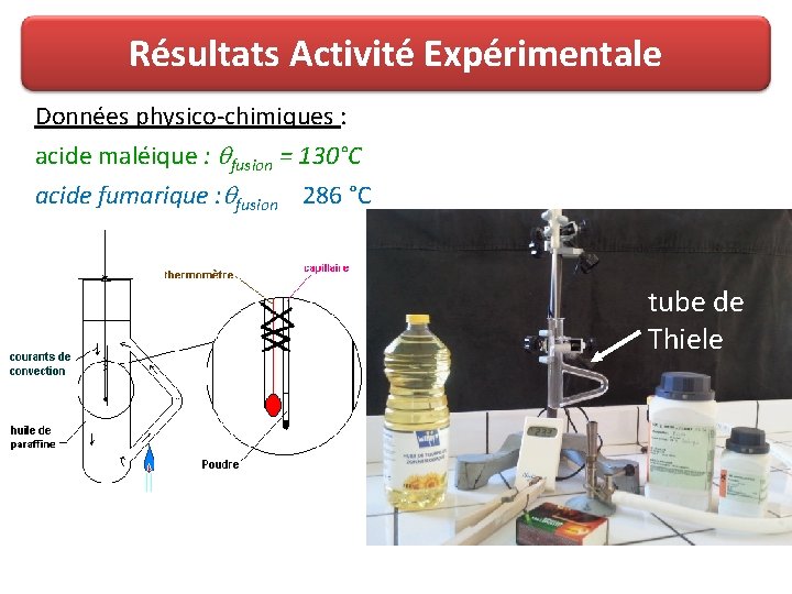 Résultats Activité Expérimentale Données physico-chimiques : acide maléique : fusion = 130°C acide fumarique