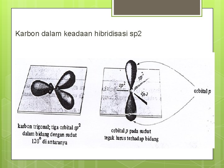 Karbon dalam keadaan hibridisasi sp 2 