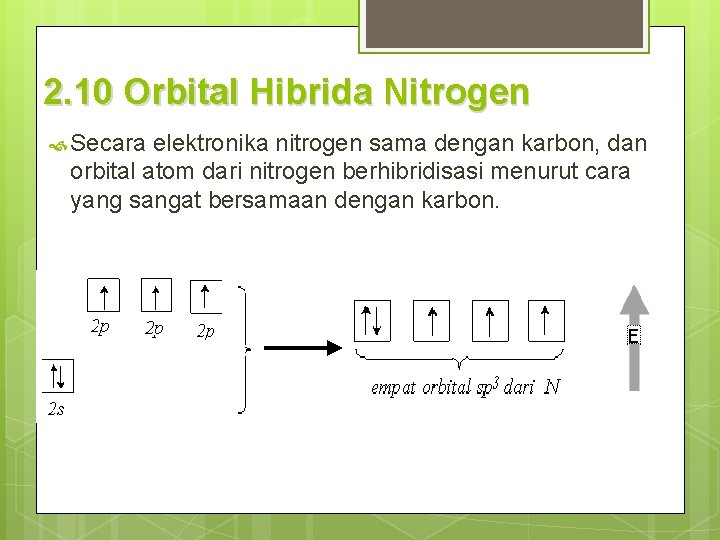 2. 10 Orbital Hibrida Nitrogen Secara elektronika nitrogen sama dengan karbon, dan orbital atom