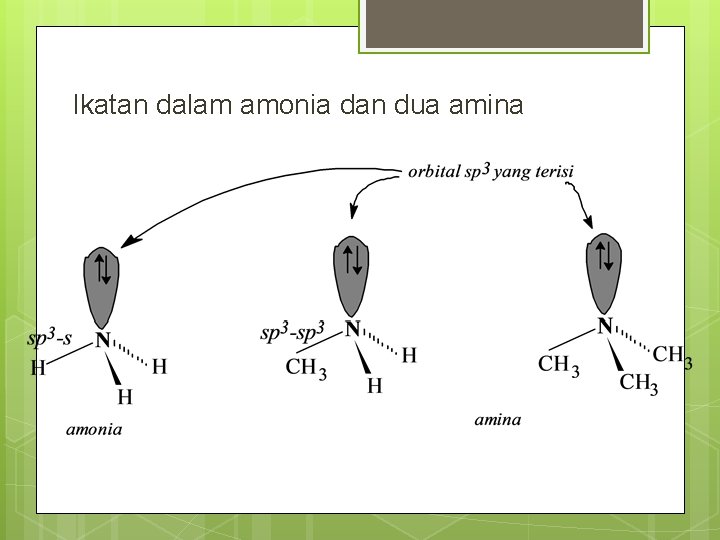 Ikatan dalam amonia dan dua amina 