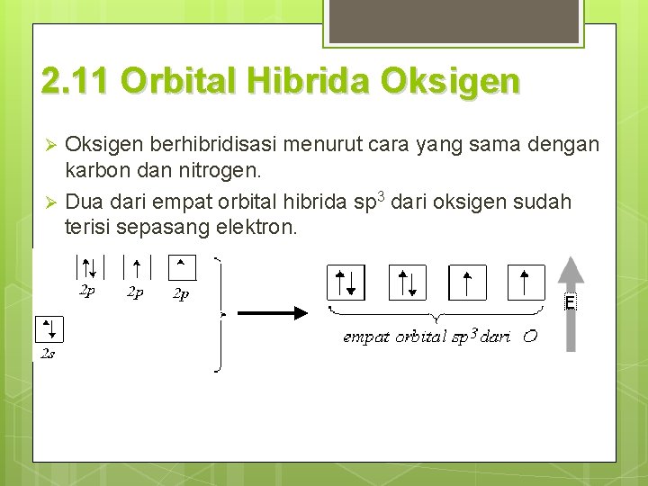 2. 11 Orbital Hibrida Oksigen berhibridisasi menurut cara yang sama dengan karbon dan nitrogen.