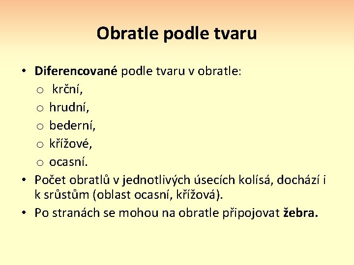 Obratle podle tvaru • Diferencované podle tvaru v obratle: o krční, o hrudní, o