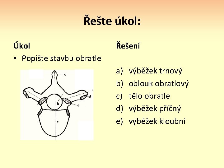 Řešte úkol: Úkol • Popište stavbu obratle Řešení a) b) c) d) e) výběžek