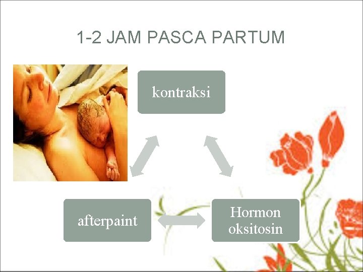 1 -2 JAM PASCA PARTUM kontraksi afterpaint Hormon oksitosin 