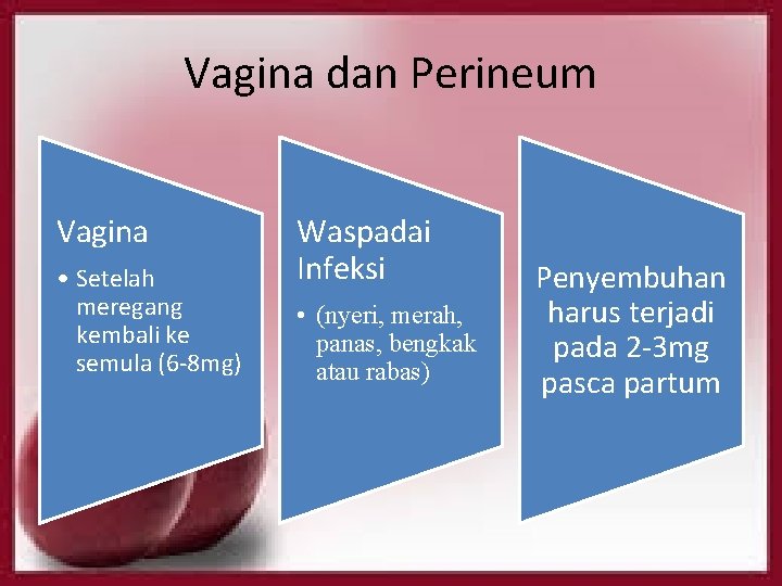 Vagina dan Perineum Vagina • Setelah meregang kembali ke semula (6 -8 mg) Waspadai