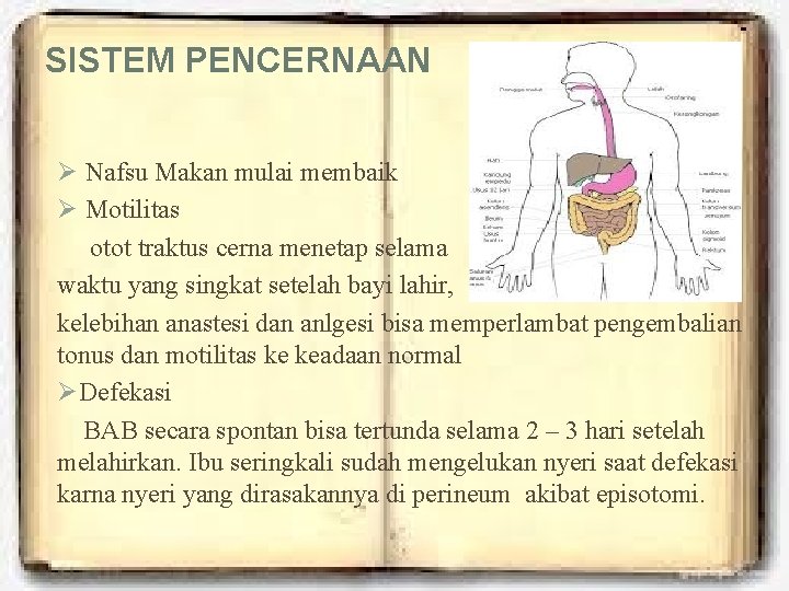 SISTEM PENCERNAAN Ø Nafsu Makan mulai membaik Ø Motilitas otot traktus cerna menetap selama