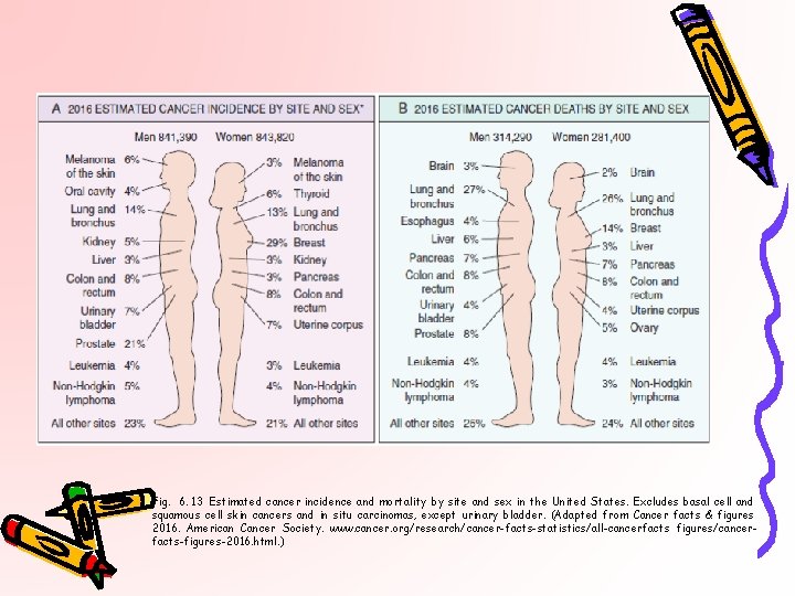 Fig. 6. 13 Estimated cancer incidence and mortality by site and sex in the