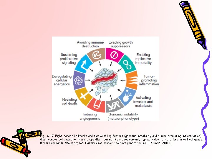 Fig. 6. 17 Eight cancer hallmarks and two enabling factors (genomic instability and tumor-promoting