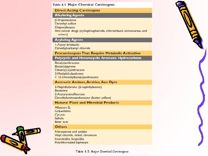 Table 6. 5. Major Chemical Carcinogens 