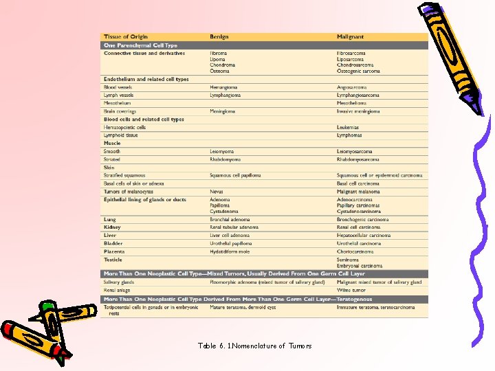 Table 6. 1. Nomenclature of Tumors 
