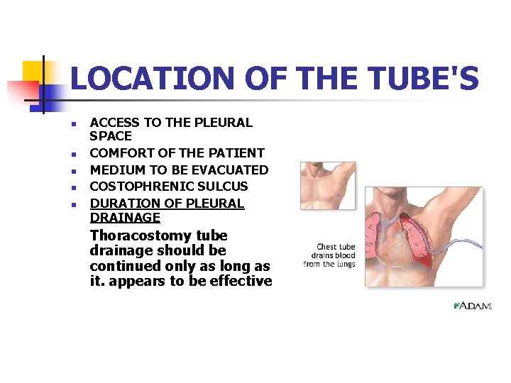 LOCATION OF THE TUBE'S n n n ACCESS TO THE PLEURAL SPACE COMFORT OF