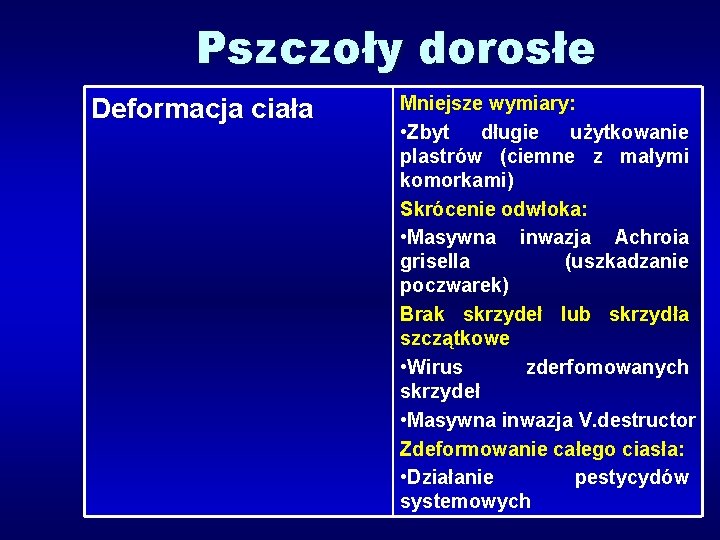 Pszczoły dorosłe Deformacja ciała Mniejsze wymiary: • Zbyt długie użytkowanie plastrów (ciemne z małymi