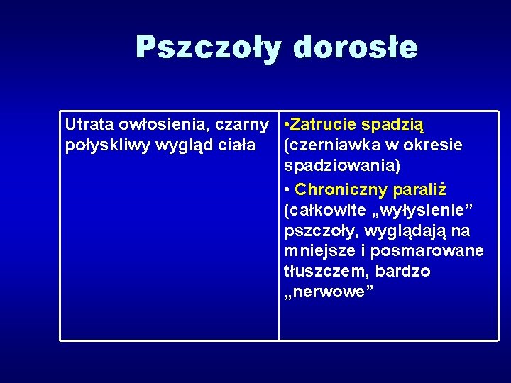 Pszczoły dorosłe Utrata owłosienia, czarny • Zatrucie spadzią połyskliwy wygląd ciała (czerniawka w okresie