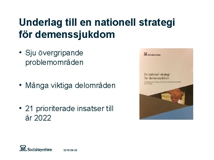 Underlag till en nationell strategi för demenssjukdom • Sju övergripande problemområden • Många viktiga