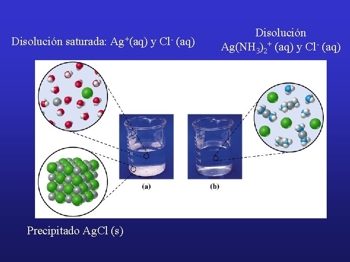 Disolución saturada: Ag+(aq) Precipitado Ag. Cl (s) y Cl- (aq) Disolución Ag(NH 3)2+ (aq)