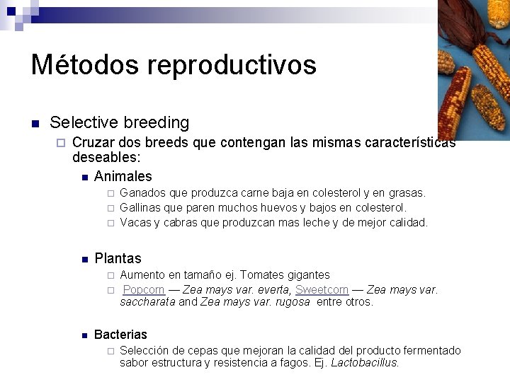 Métodos reproductivos n Selective breeding ¨ Cruzar dos breeds que contengan las mismas características