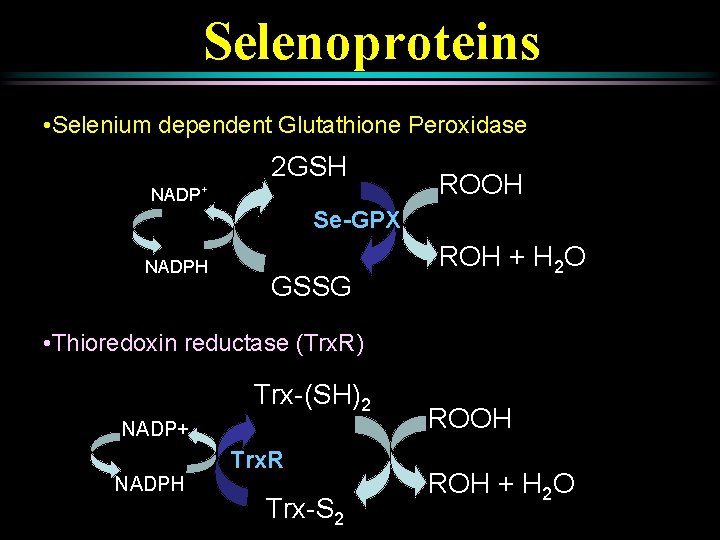 Selenoproteins • Selenium dependent Glutathione Peroxidase 2 GSH NADP+ ROOH Se-GPX NADPH GSSG ROH